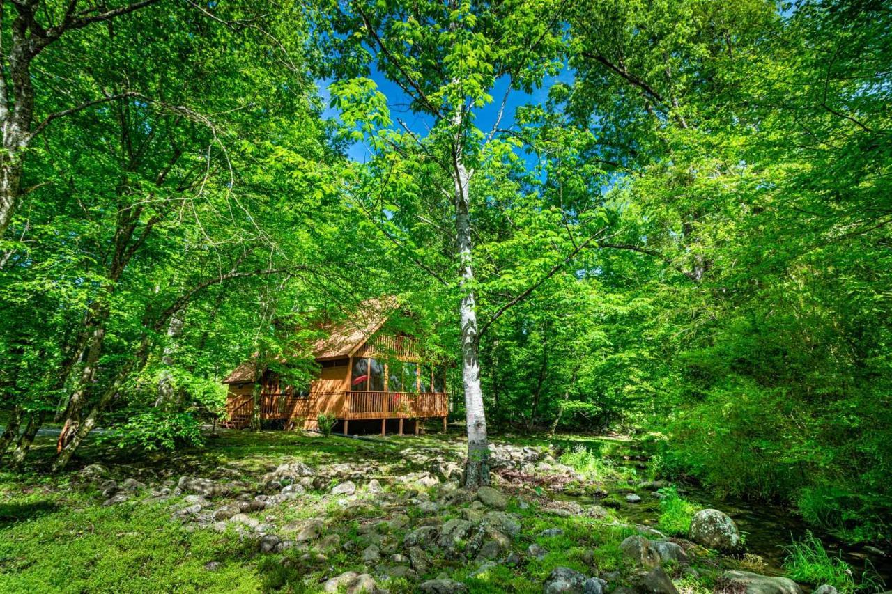 Villa Bear Footin' On The Creek à Gatlinburg Extérieur photo
